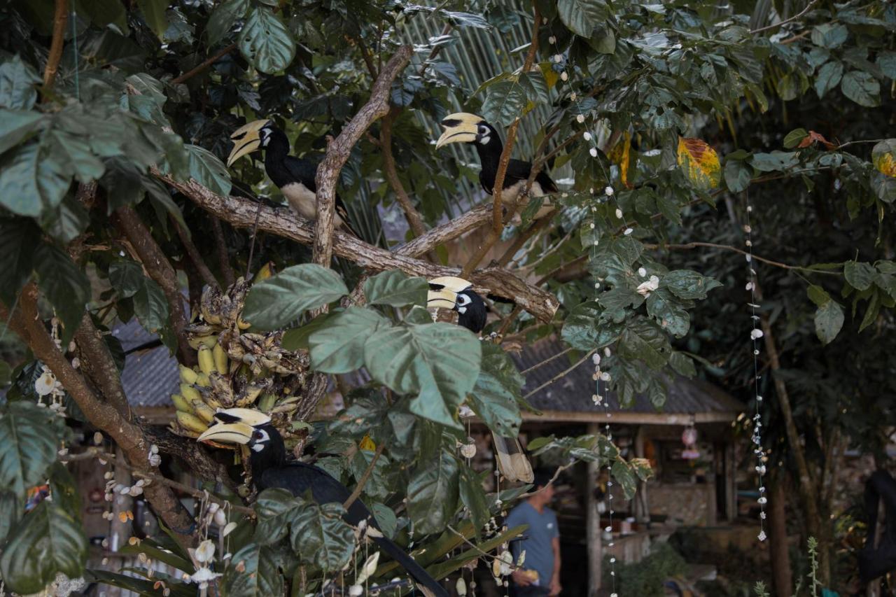 Hornbill Bungalow Koh Chang Ranong Exterior foto